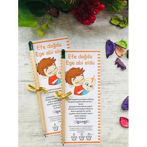 Abi Karde� Temal� Tohumlu Kalem