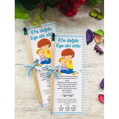 Abi Karde� Temal� Tohumlu Kalem