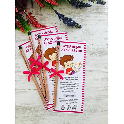 Abi ve K�zkarde� Tohumlu Kalem