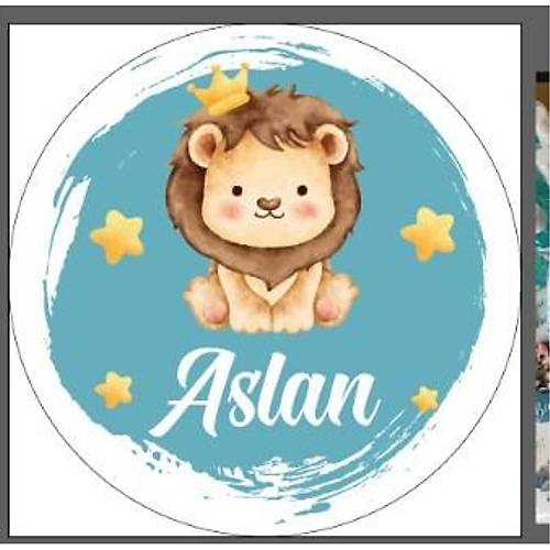 ASLANL PLEKS� KAPI S�S� 30 CM