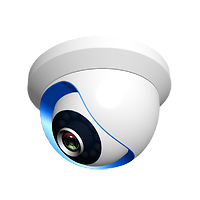 NTA-IPC02 IP Dome Kamera