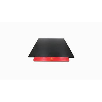 Raise3D Pro2 Build Plate with Protector
