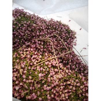 Funda Çiçeği Kurusu- Çayı- 25 gr.