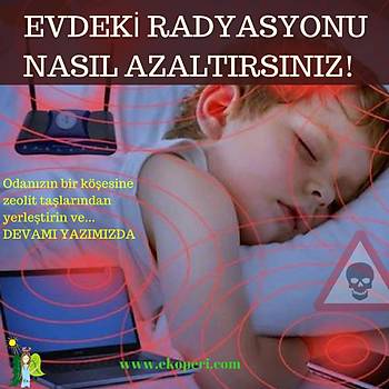 RADYASYON-KÜF-NEM İÇİN ZEOLİT TAŞLARI- 2.000 gr. x 2 PAKET