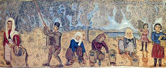 zeytin toplama