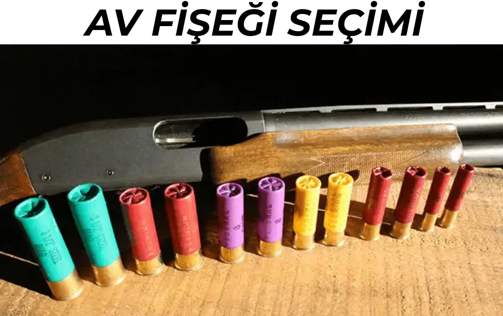 avfisegisecimi