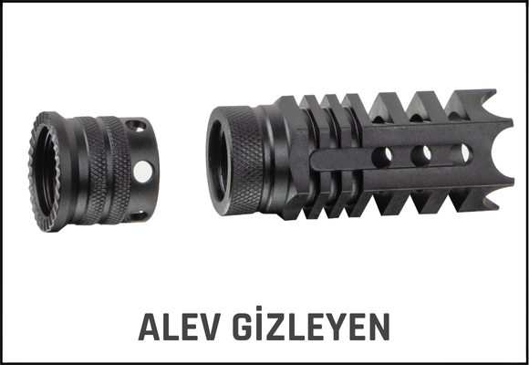 Alev Gizleyen