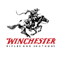 Kategori resmi : WINCHESTER