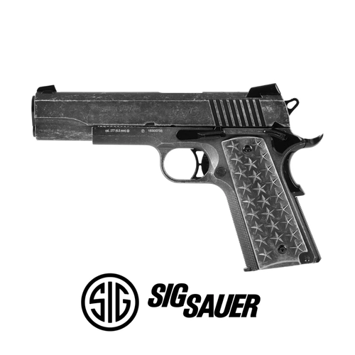 Sig Sauer 1911 We The People Blowback Haval Tabanca