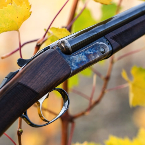 Franchi Esprit Av �ifte T�fe�i