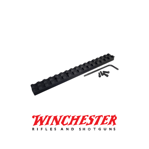 Winchester SXP iin Picatinny Ray 22mm