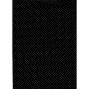 ASTRAL Elbe Blue Line SBDG 160 SUPRA  1.65 x 25 m Siyah �nci 920/21