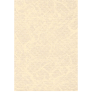 ASTRAL Elbe Blue Line SBDG 160 SUPRA  1.65 x 25 m Kum �ncisi 920/24