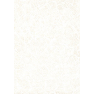 ASTRAL Elbe Blue Liner SBDG 160 SUPRA  1.65 x 25 m Beyaz �nci 920/23