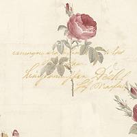 ROSE GARDEN 2 // CG28860 // 5,3m2
