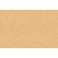 CORTE ANTICA // 2857 // 5,3 m2