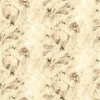 CONCETTA // CN18-0070 // 5,15m2