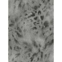 SELVAGGIA // 88757 // 5,3 m2