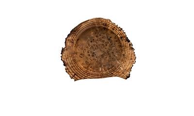 G�rsel 4