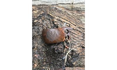G�rsel 6