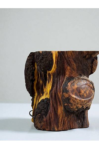 Nervus-urlu i�de a�ac�ndan abajur