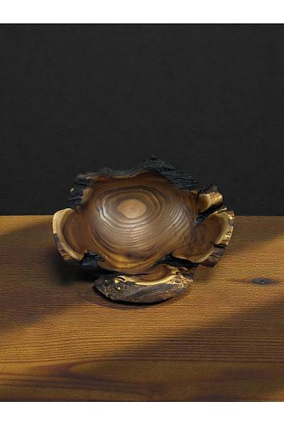 Urlu ��de A�ac� Kase � 20 � 9 cm