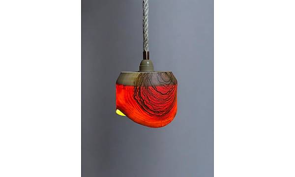 Zeytin A�ac� Avize