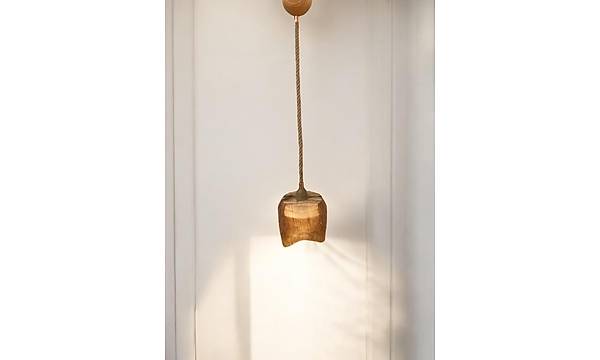 Zeytin A�ac� Avize