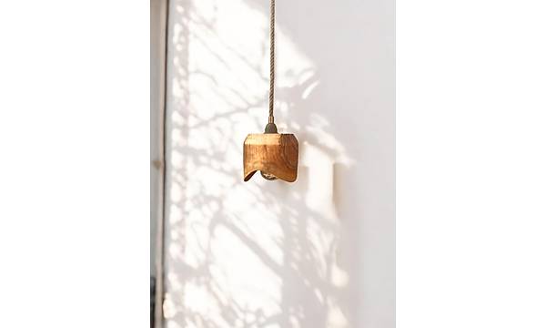 Zeytin A�ac� Avize