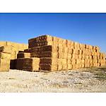 G�rsel 2