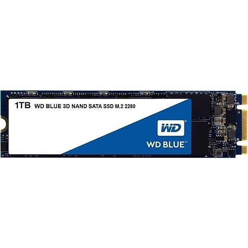 1TB WD BLUE M.2 WDS100T2B0B SSD