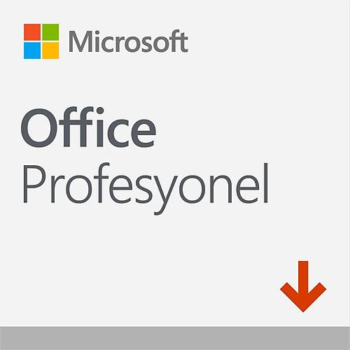 MICROSOFT OFFICE PRO 2019 - ESD 269-17072