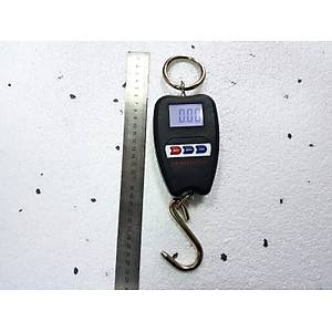 Swan Elektronik Ask�l� Terazi 200 Kg �engeli Bask�l