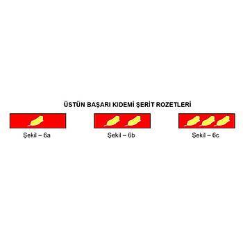 stn Baar Kdemi (Erken Terfi) erit Rozeti