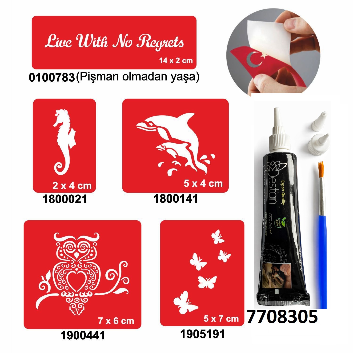 Kuş ve Balık Desenleri Hint Kınası ile Geçici Dövme Yapma Seti