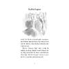 G�rsel 5