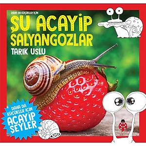 Daha da K���kler ��in �U ACAY�P SALYANGOZLAR - Tar�k Uslu