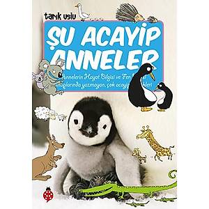 Şu Acayip Anneler