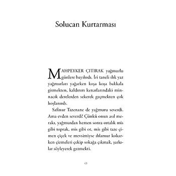 Sormagir Mahallesi Hikyeleri - ZKAN ZE