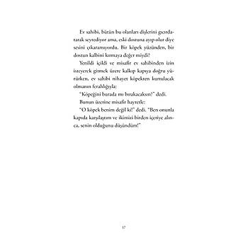 HER GNE BR YK - 4 / Neeli ve Elenceli ykler / Muhiddin Yenign