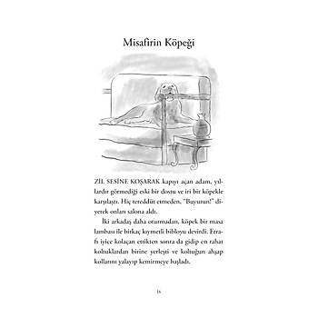 HER GNE BR YK - 4 / Neeli ve Elenceli ykler / Muhiddin Yenign