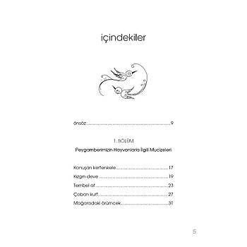 �ocuklar ��in Peygamberimizin Mucizeleri