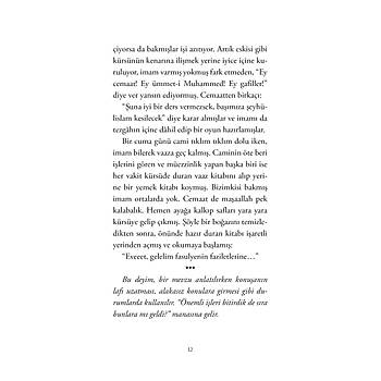 DEYMLER ve ATASZLER YKLER - 3 / Muhiddin Yenign