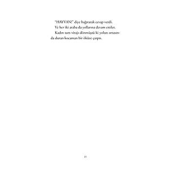 HER GNE BR YK - 4 / Neeli ve Elenceli ykler / Muhiddin Yenign