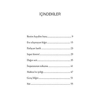 D�r�stl�k ve Do�ruluk �yk�leri