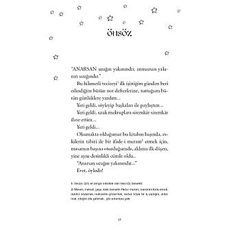 Peygamberin Gen Arkadalar - kinci Kitap: Medine Genleri / zkan ze