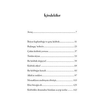 u Acayip Kelebekler