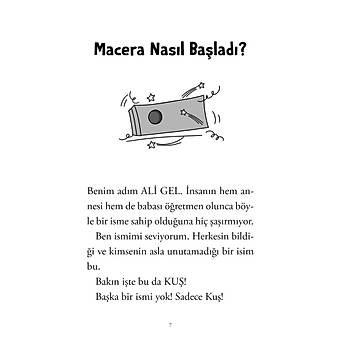 AL GEL VE MACERALARI 5 / zkan ze