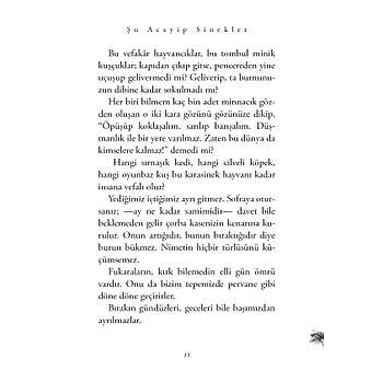u Acayip Sinekler / Tark Uslu