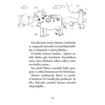 Çocuklar İçin Peygamberlerin Hayatları - Özkan Öze